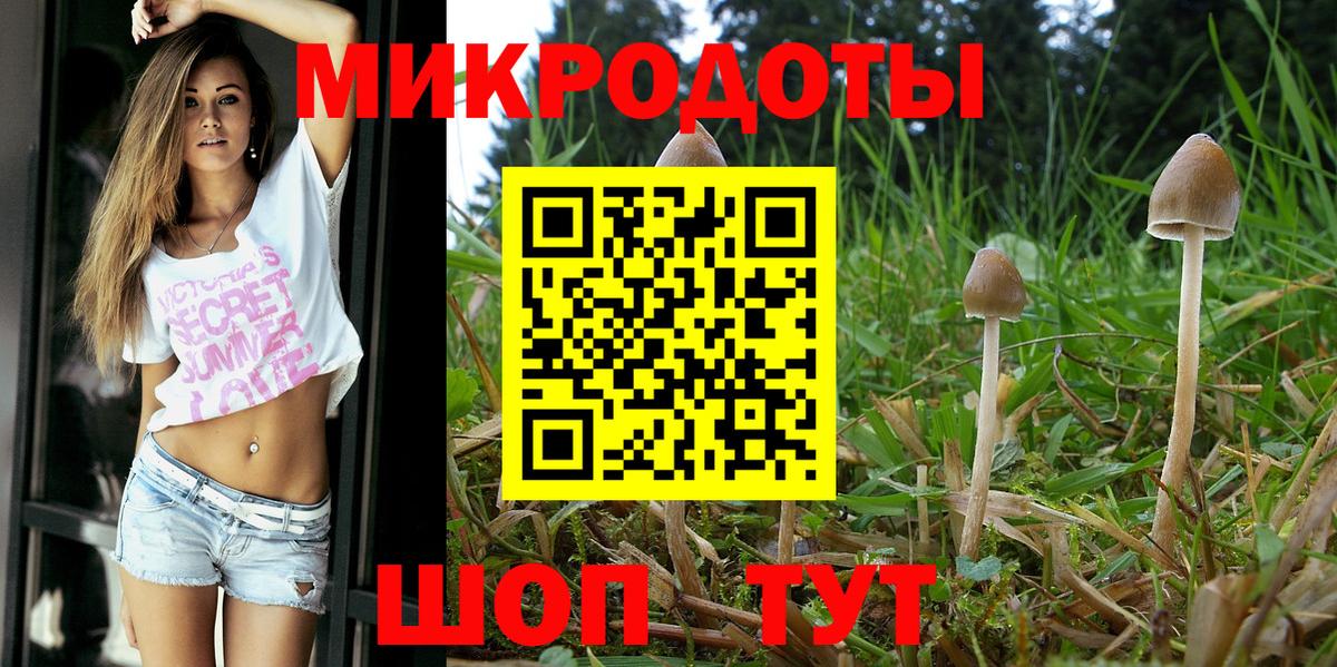 Псилоцибиновые грибы Cubensis  Вход с VPN  Семёнов 
