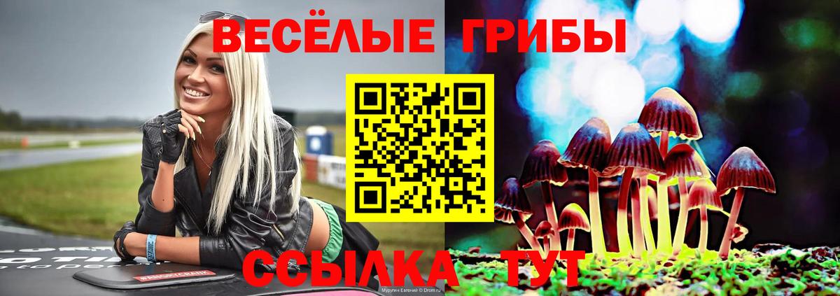 Псилоцибиновые грибы Psilocybine cubensis Семёнов